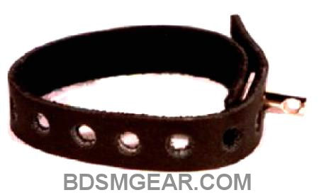 CBT Locking Cock Ring