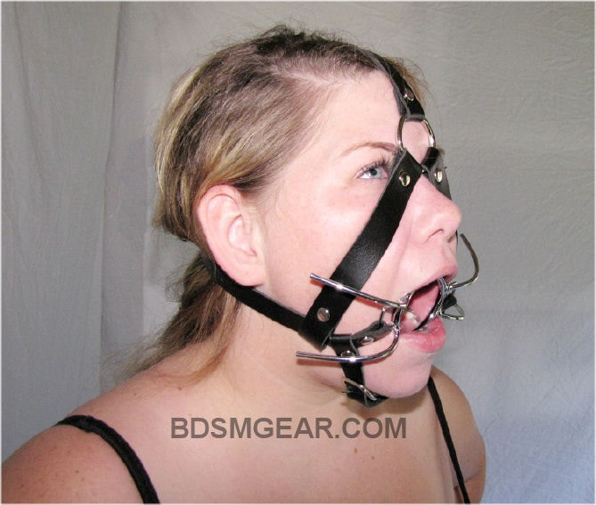 Spider Leg Gag With Harness