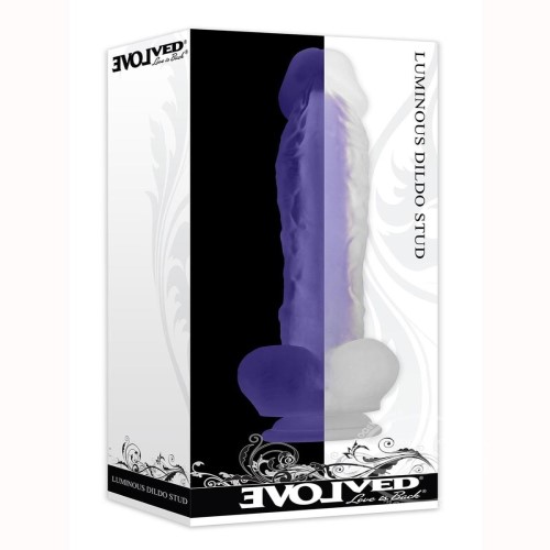 bdsm dildos and dongs in our bondage store