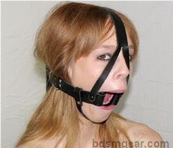 Hard Plastic Ring Gag With Harness