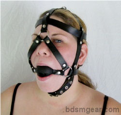 Black Gag With 3 Strap Harness