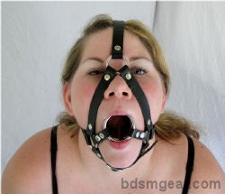 Double Ring Gag with Harness