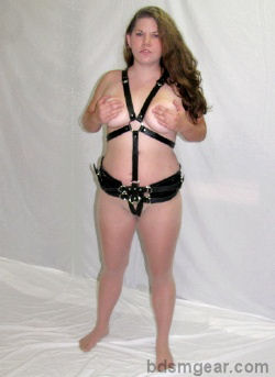 BBW Bondage Harness