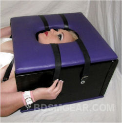 BDSM Smother Box