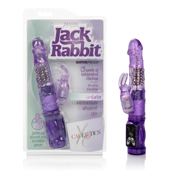 Petite Jack Rabbit