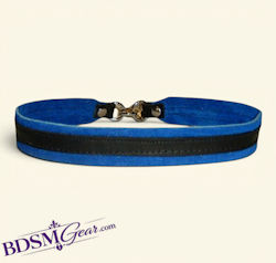 Blue Suede Lined Thin Ringless Leather Collar