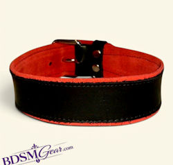 Red Suede Lined Ringless BDSM Collar