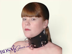 Double Belt Leather Posture Training Collar Side View